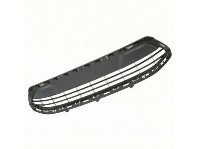 AE8Z-8200-CA Ford Radiator Grille Product Photo 2 of 4