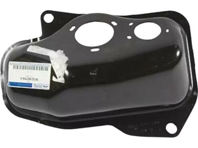 Ford F-250 Super Duty Fuel Filler Housing - BC3Z-9927936-A