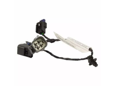 Ford GN1Z-13410-J Lamp Socket And Wire Assembly GN1Z-13410-J Ford Lamp Socket And Wire Assembly Product Photo 1 of 3