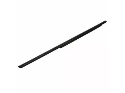 Lincoln Weather Strip - CT4Z-7825597-A