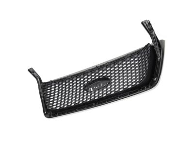 2005 Ford F-150 Grille - 4L3Z-8200-CACP
