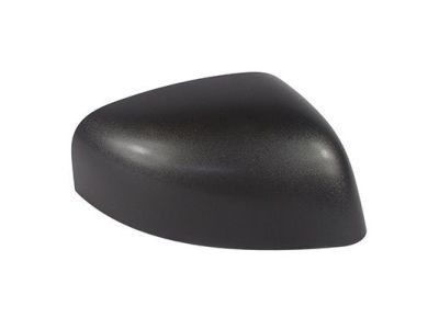 Ford Transit Connect Mirror Cover - DT1Z-17D742-DA