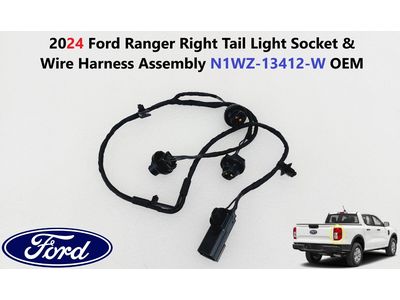 2024 Ford Ranger Light Socket - N1WZ-13412-W