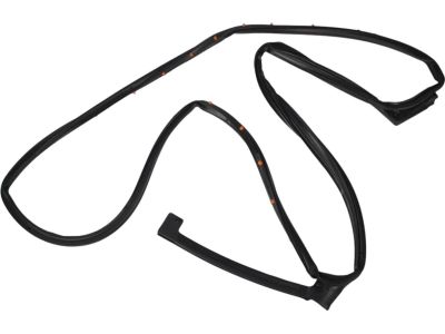 Ford Police Interceptor Sedan Door Seal - AG1Z-5425325-A