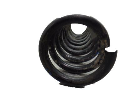 Ford CV6Z-5560-E Spring - Rear