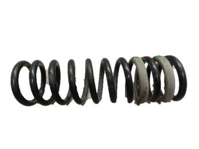 2018 Ford Escape Coil Springs - CV6Z-5560-E