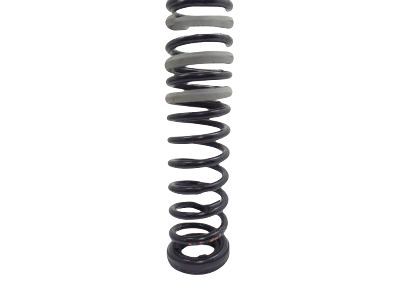 Ford CV6Z-5560-E Spring - Rear