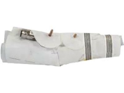 2018 Lincoln Navigator Door Moldings - JL7Z-78255A35-AB