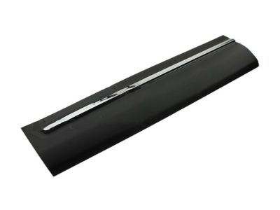 2017 Ford Explorer Door Moldings - FB5Z-7820879-BC