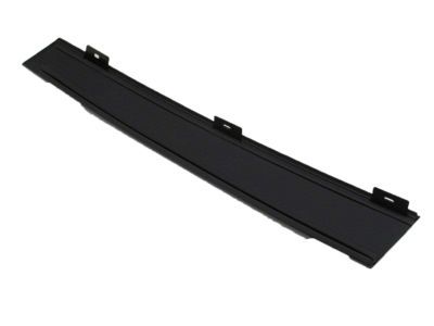 Ford 3W1Z-5420555-AAA Moulding - Door Outside