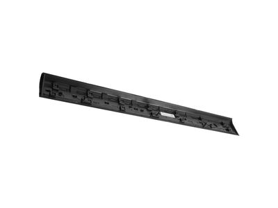 Lincoln Corsair Door Moldings - LJ7Z-7820878-CAPTM