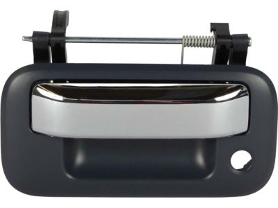 2015 Ford F-250 Super Duty Tailgate Handle - 8L3Z-9943400-DQ