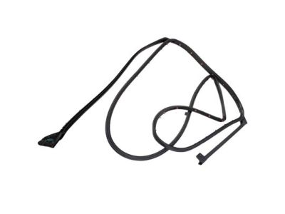 Ford BB5Z-7825325-A Weatherstrip