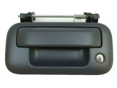 Lincoln Mark LT Door Handle - 8L3Z-9943400-BAPTM