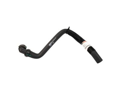 2021 Ford F-350 Super Duty Radiator Hose - HC3Z-8075-F