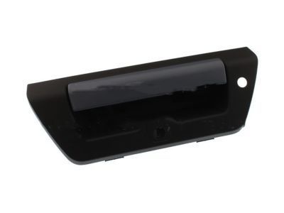 Ford F-150 Door Handle - FL3Z-9943400-GAPTM