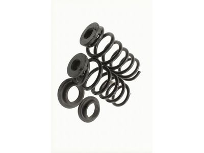 2024 Lincoln Nautilus Coil Springs - PZ1Z-5560-P