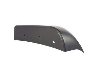 Ford BC3Z-16038-BPTM Moulding - Bumper Bar