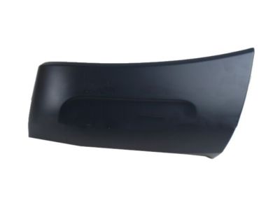 Ford BC3Z-16038-BPTM Moulding - Bumper Bar