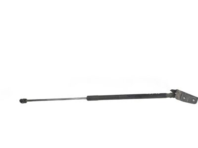 Ford Focus Tailgate Lift Support - BM5Z-58406A10-A