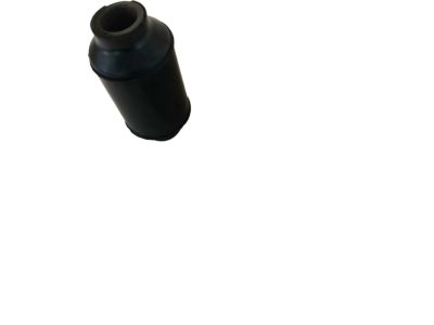 1999 Ford F-150 Leaf Spring Bushing - F65Z-5781-BA