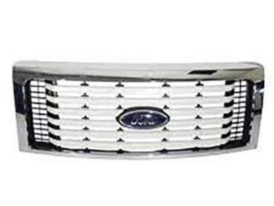 Ford BL3Z-8200-DPTM Grille - Radiator