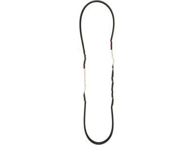 Lincoln Serpentine Belt - BT4Z-8620-D