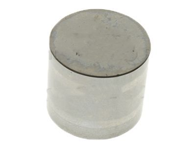 Ford CP9Z-6500-FBB Tappet - Valve