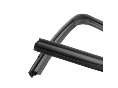 2019 Ford F-450 Super Duty Window Run - FL3Z1625766C