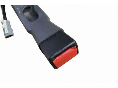 2001 Ford Expedition Seat Belt - 1L7Z-7861203-BAC