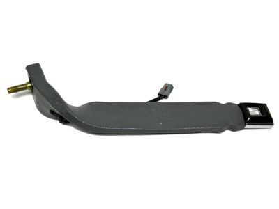 Ford F2TZ-9861203-A Seat Belt Assembly