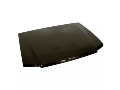 Ford Explorer Sport Hood - 1L5Z-16612-AA
