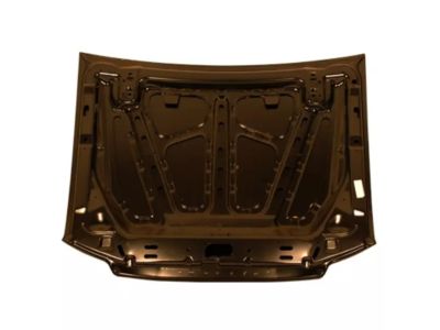 Ford Explorer Sport Hood - 1L5Z-16612-AA