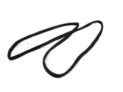 Ford Fusion Door Seal - GS7Z-5420531-A