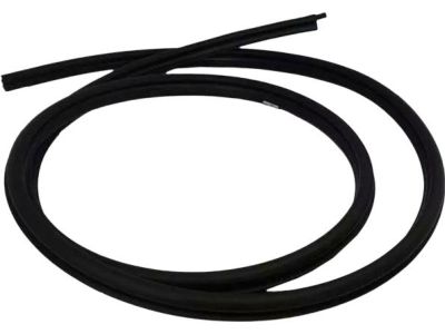Mercury Door Seal - YL8Z-7825324-AA