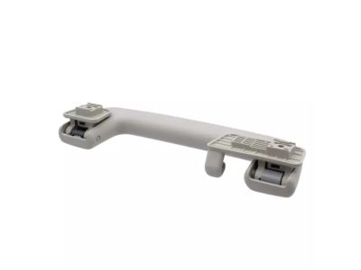 Ford DS7Z-5831406-BF Handle Assist DS7Z-5831406-BF Ford Handle Assist Product Photo 1 of 3