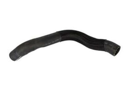 Ford Mustang Radiator Hose - BR3Z-8260-AA