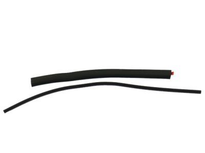 Ford AL3Z-15262A80-A Weatherstrip Assembly - Sliding Gla