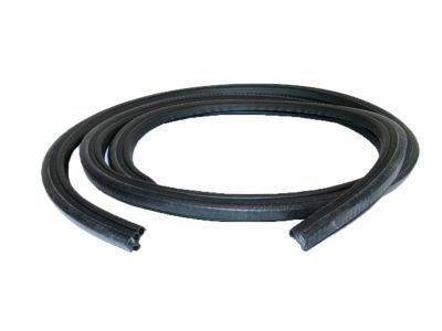 2000 Ford Ranger Weather Strip - 1L5Z-1020708-BA