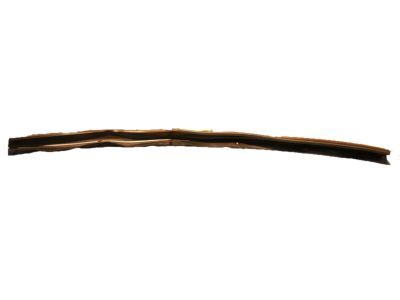 Ford F-550 Super Duty Door Seal - F81Z-26253A24-AA