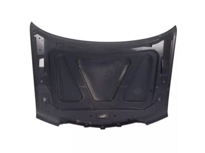 2009 Lincoln Navigator Hood - 7L7Z-16612-A