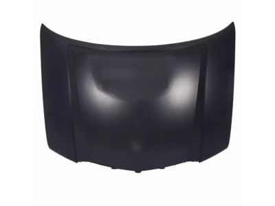 2009 Lincoln Navigator Hood - 7L7Z-16612-A