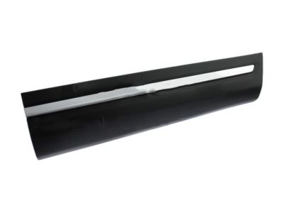 2019 Ford Police Interceptor Utility Door Moldings - HB5Z-7820878-CA