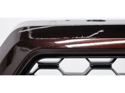 2018 Ford F-150 Grille - JL3Z-8200-SC