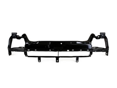 9T1Z-8A284-B Ford Radiator Grille Product Photo 1 of 2