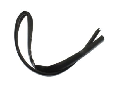 Ford 4L1Z-1503110-AA Weatherstrip - Windshield Glass