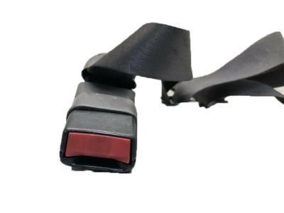 Ford 1L3Z-15612B19-AAB Seat Belt Assembly