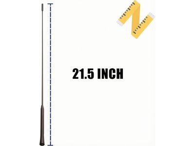 Ford Focus Antenna - 98BZ-18A886-AA