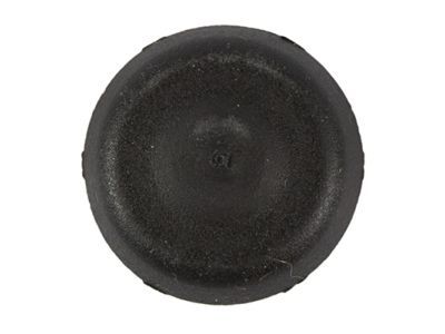 Ford -W714032-S300 Plug