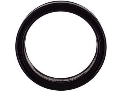 Mercury Capri Air Filter - D3ZZ-9601-AR